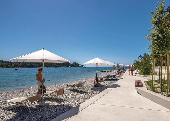 Lovely In With Sauna Bale